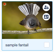 A screenshot of file indicators being displayed in the file manager File indicators