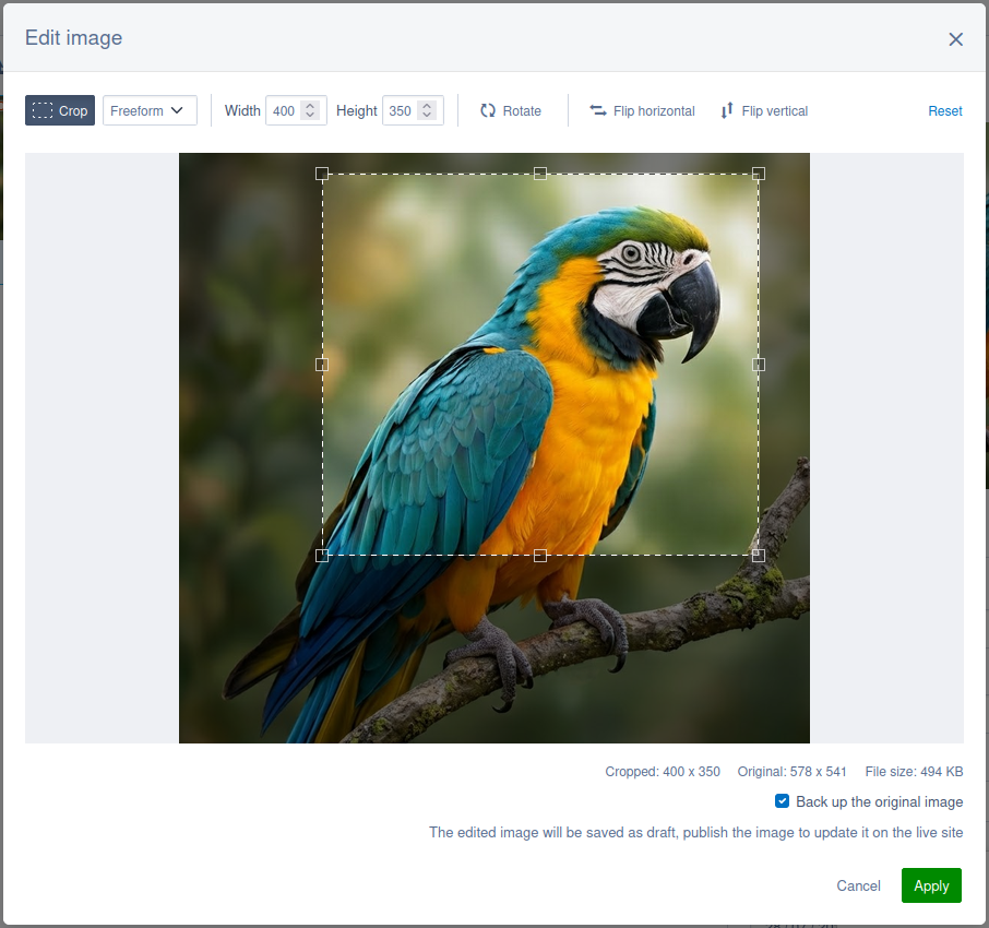 Image editor screenshot